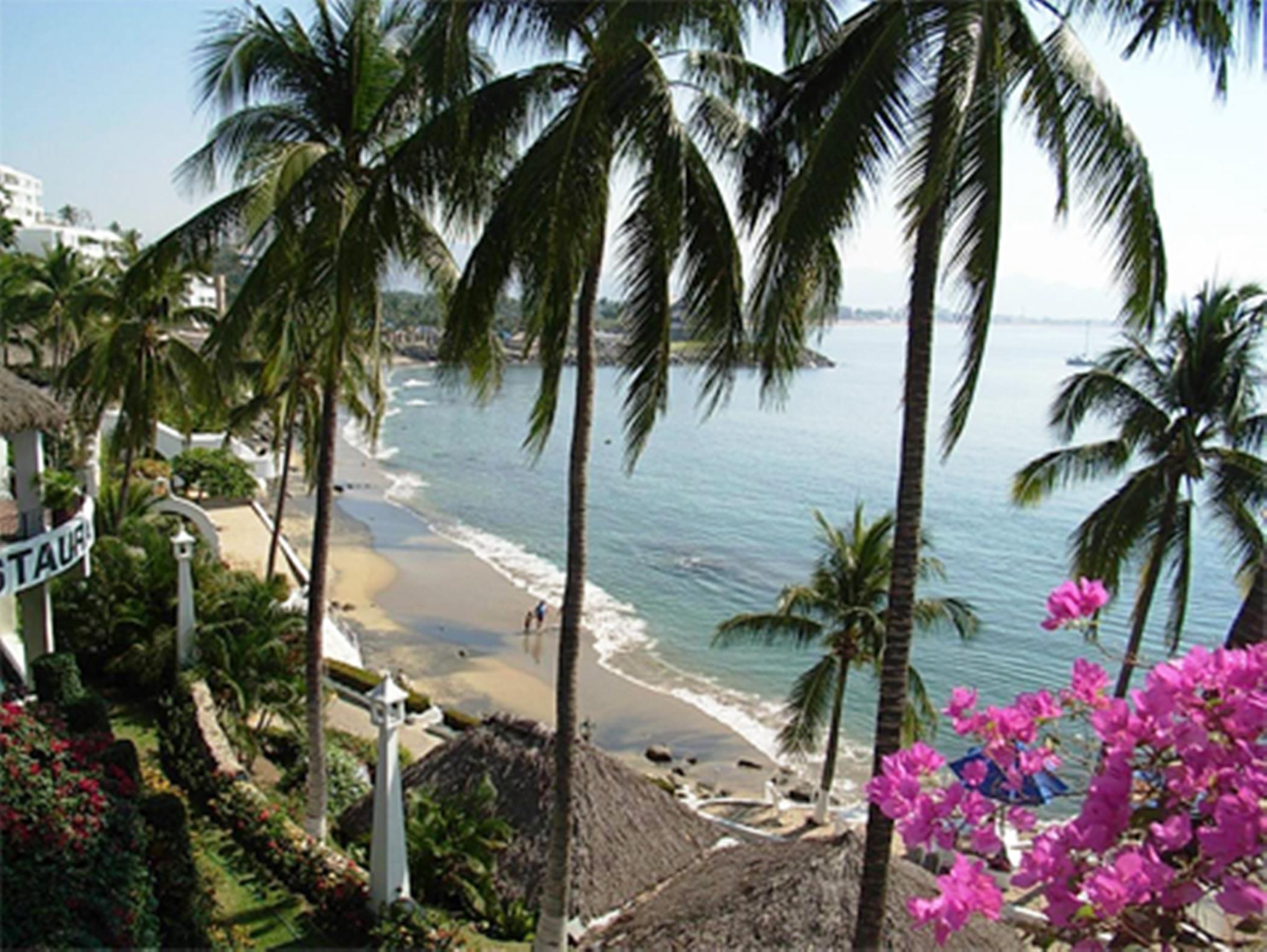 Dolphin Cove Inn Manzanillo Extérieur photo
