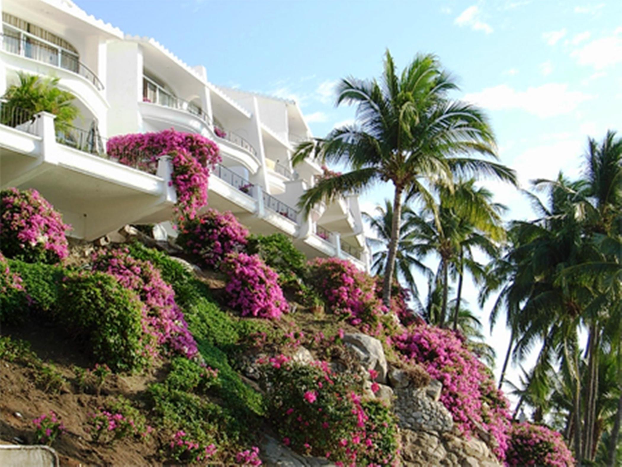 Dolphin Cove Inn Manzanillo Extérieur photo